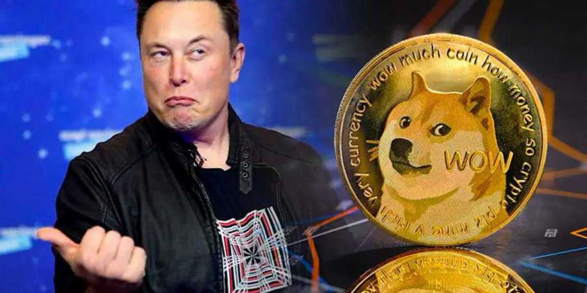 Elon Musk đề xuất dùng Dogecoin trả phí cho Twitter