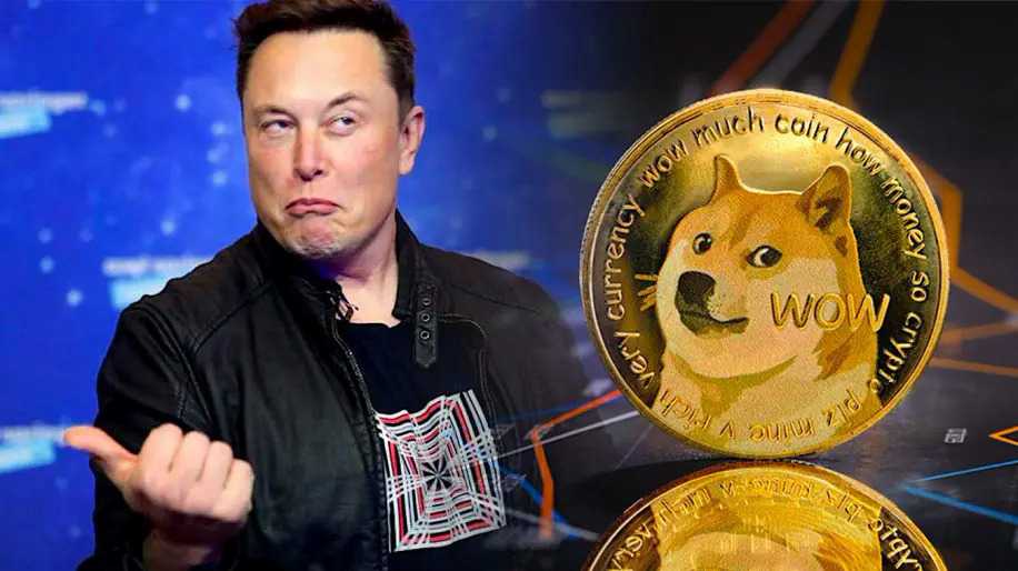 Elon Musk đề xuất dùng Dogecoin trả phí cho Twitter