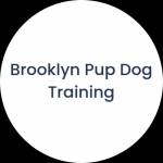 Brooklyn Pup Training