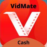 vidmate cash